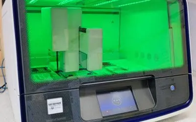 Genomsequenzierung versus Mutations-PCR